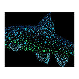 Barbel Fish (Print Only) thumbnail