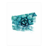 Modern Succulent II (Print Only) thumbnail