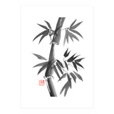 Bamboo 01 (Print Only) thumbnail