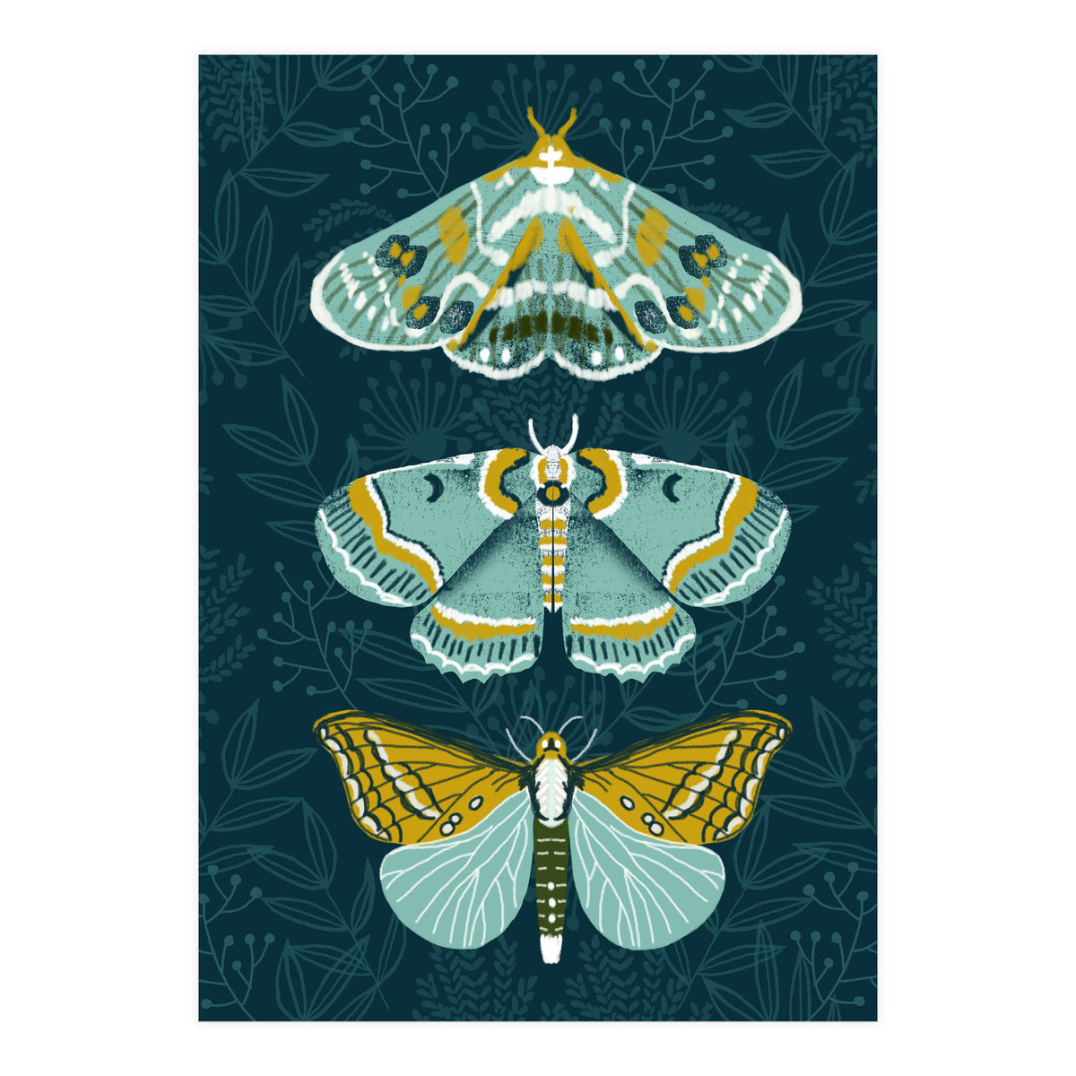 Lepidoptery8 (Print Only)