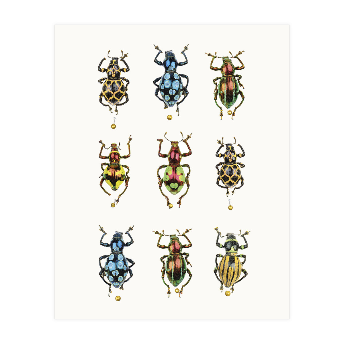 Cc Insects 05 (Print Only)