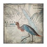 Egypt Heron (Print Only) thumbnail