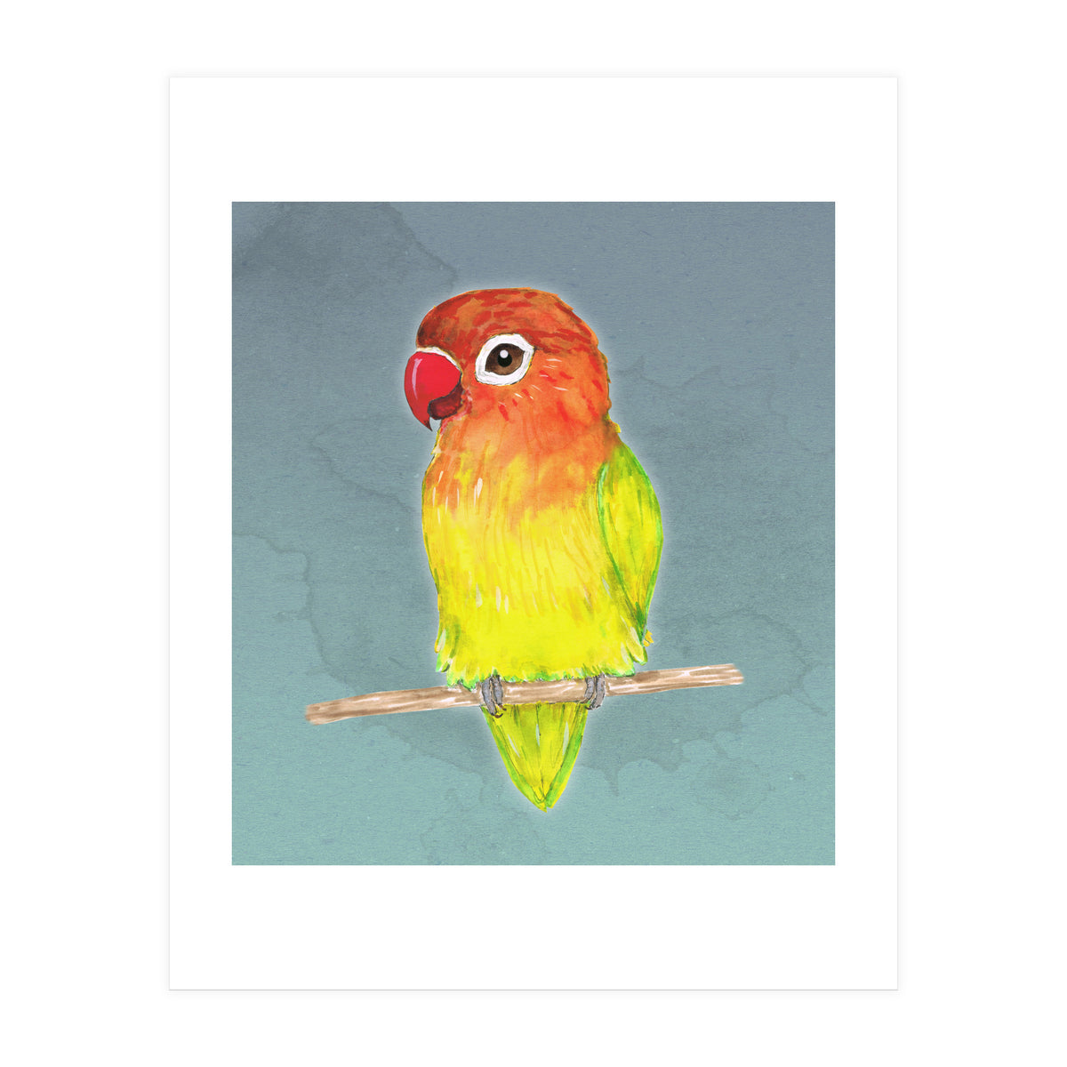 Cute yellow Fischer's lovebird (Print Only)