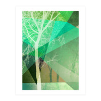 P22 B Trees And Triangles (Print Only)