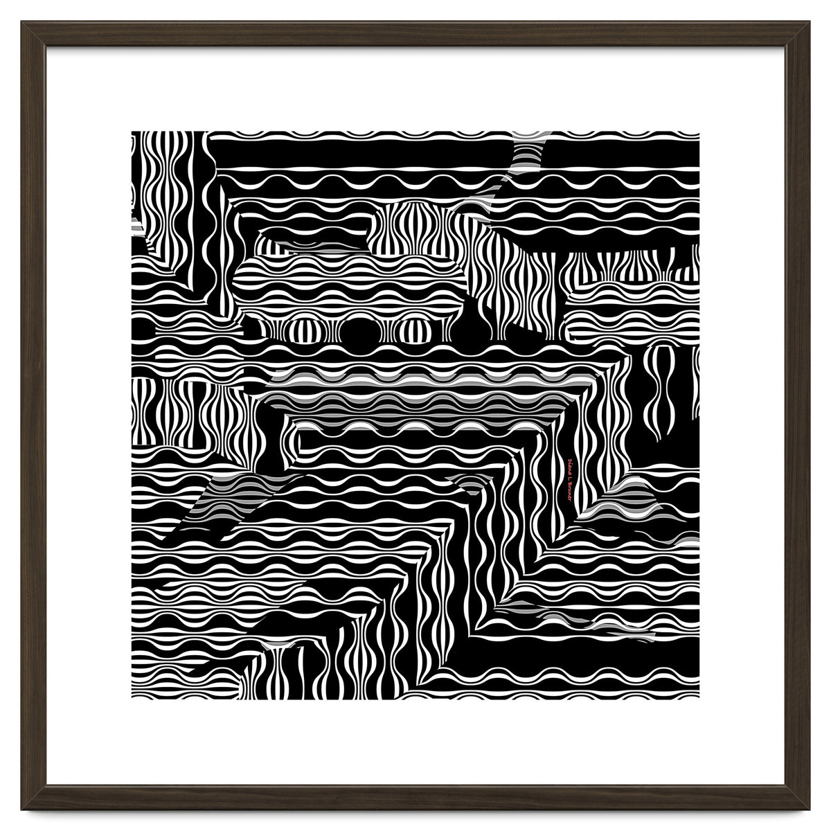 BLACK AND WHITE EXOTIC