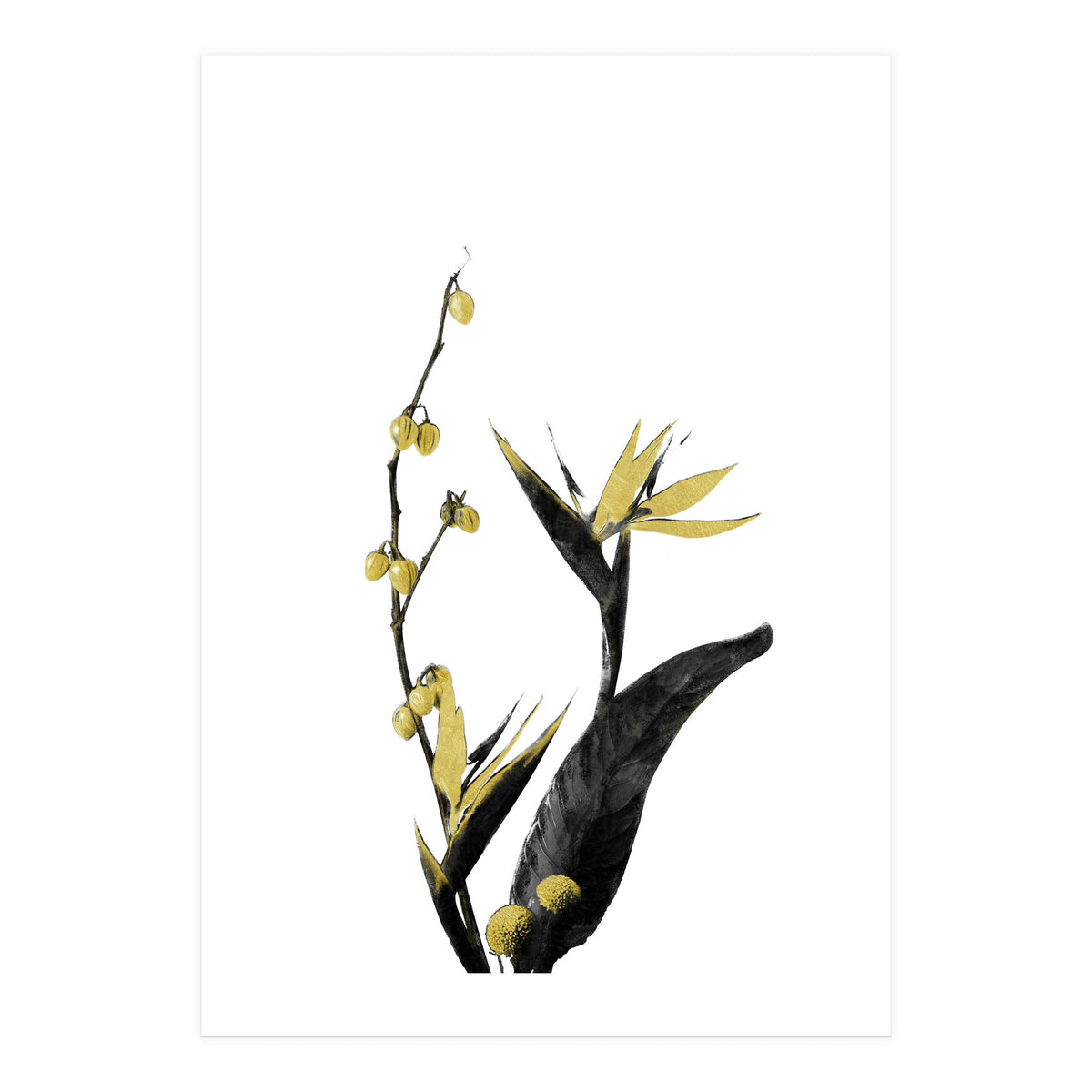 Flower Minimal Black And Gold 02 (Print Only)
