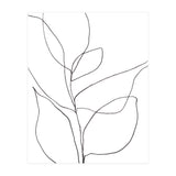 Plant Line Drawing (Print Only) thumbnail
