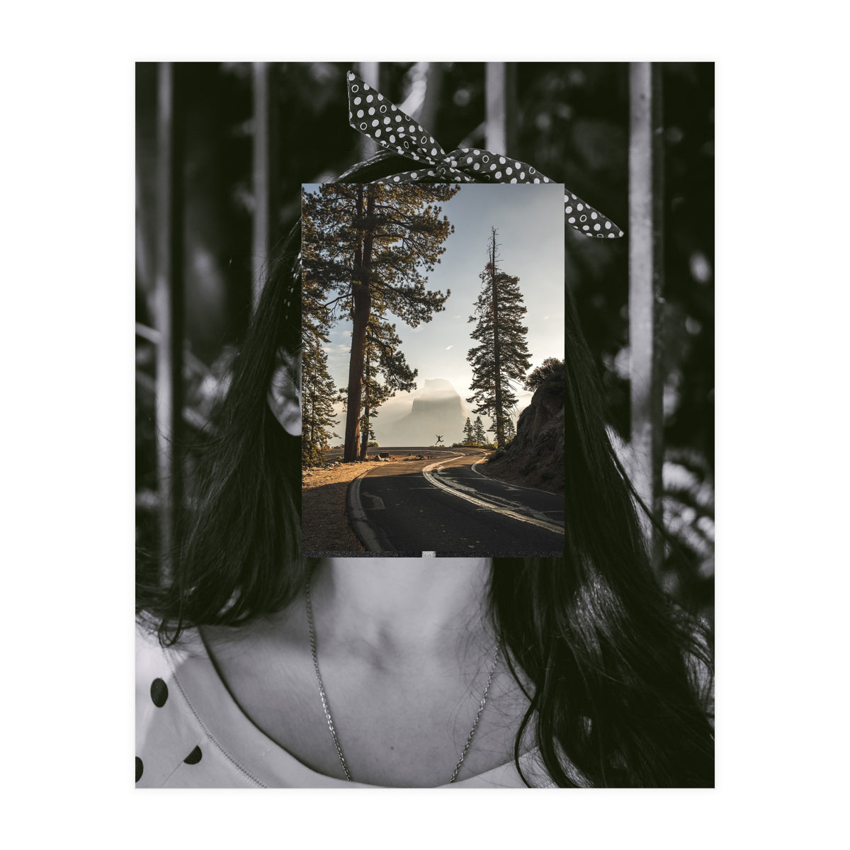 Silva Where Are You? (Print Only)