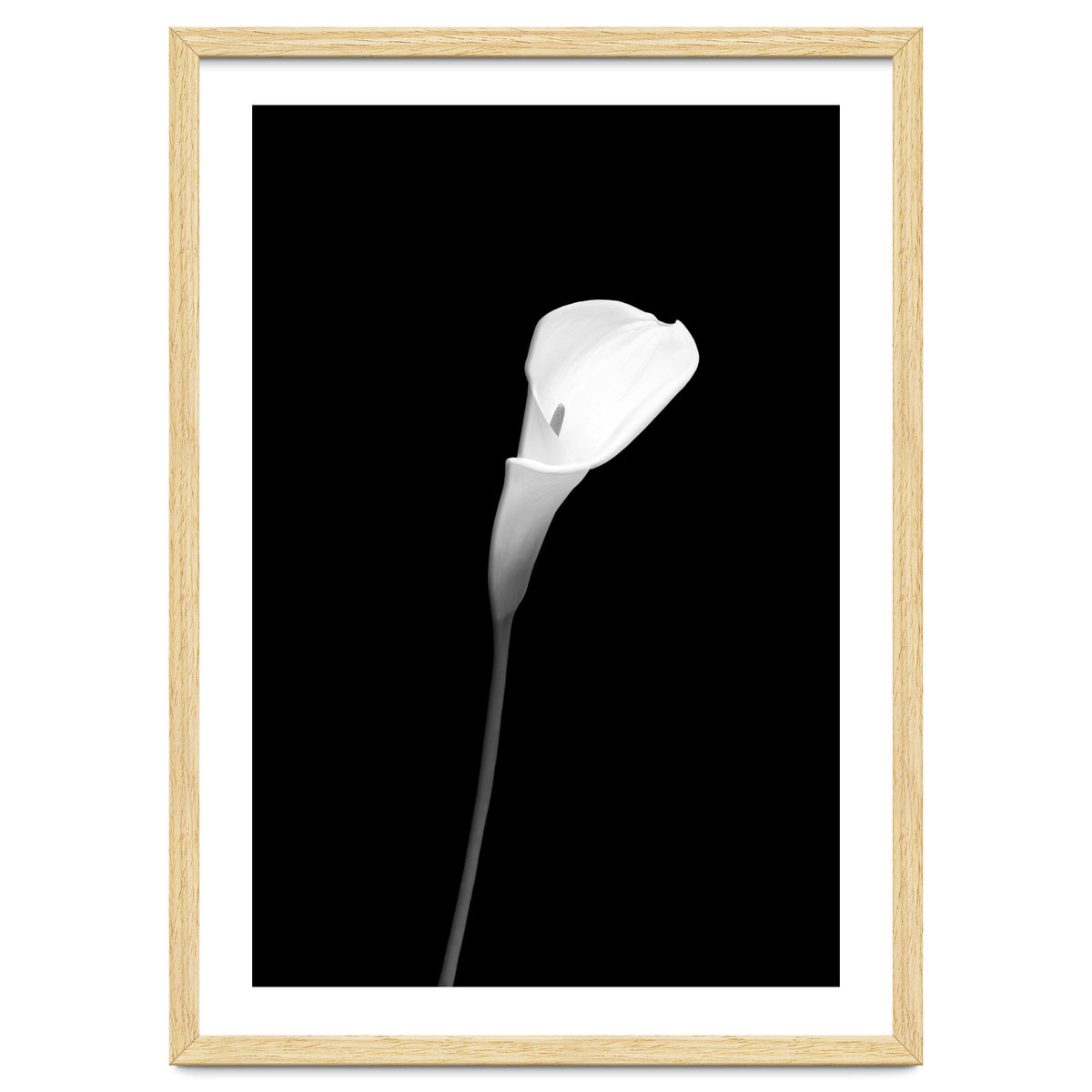 Calla | dark design
