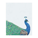 Peacock Portrait (Print Only) thumbnail