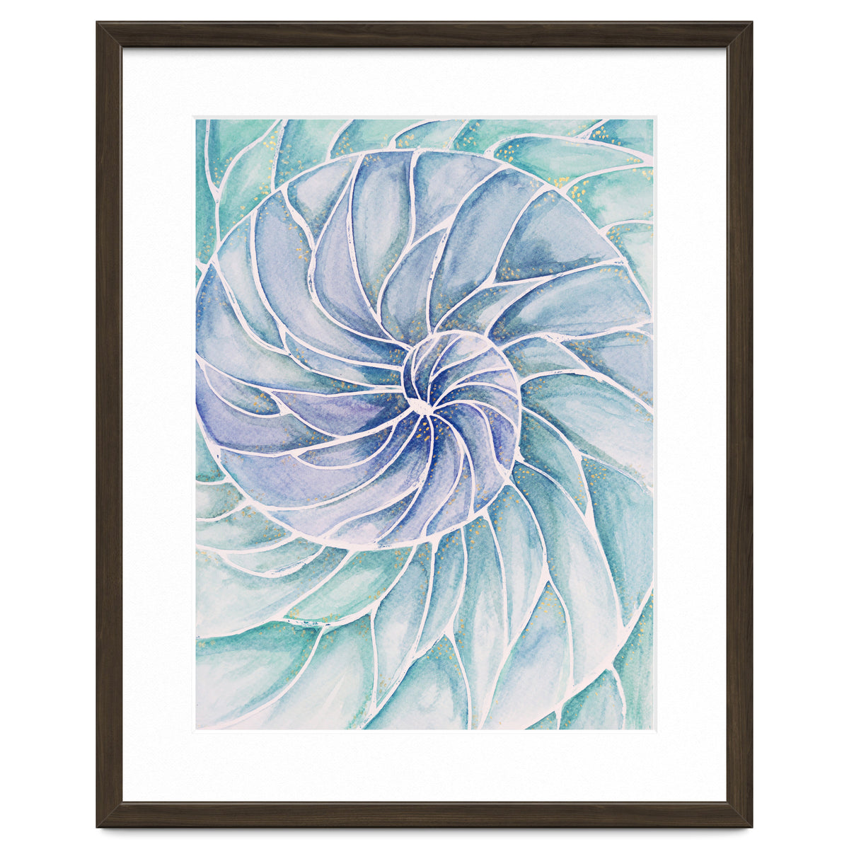 The inside of a shell