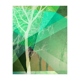 P22 B Trees And Triangles (Print Only) thumbnail