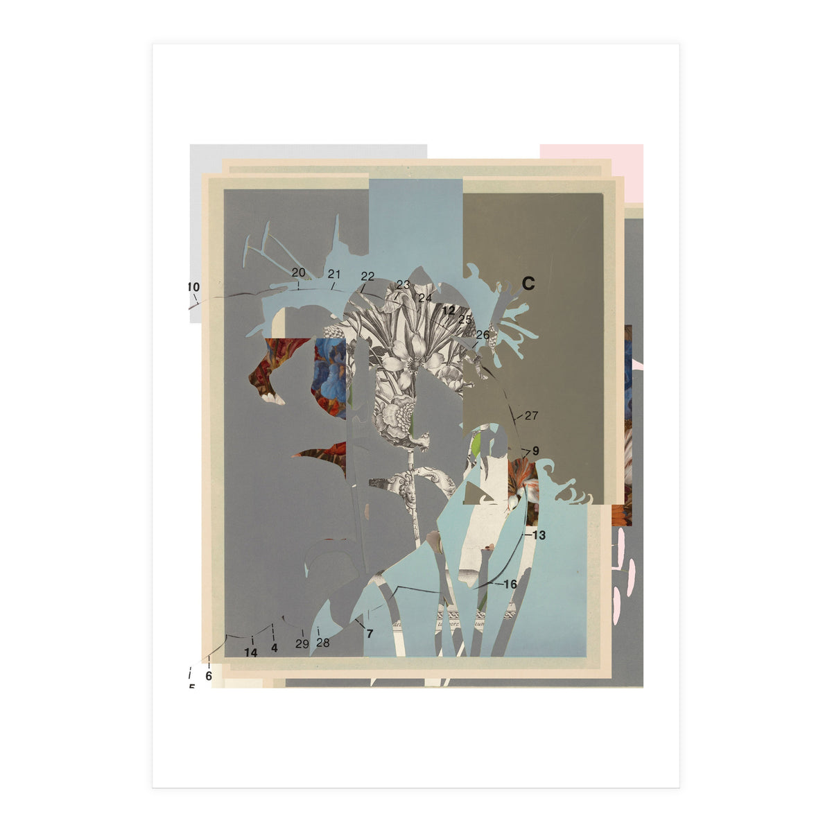 The First Plant · D (Print Only)