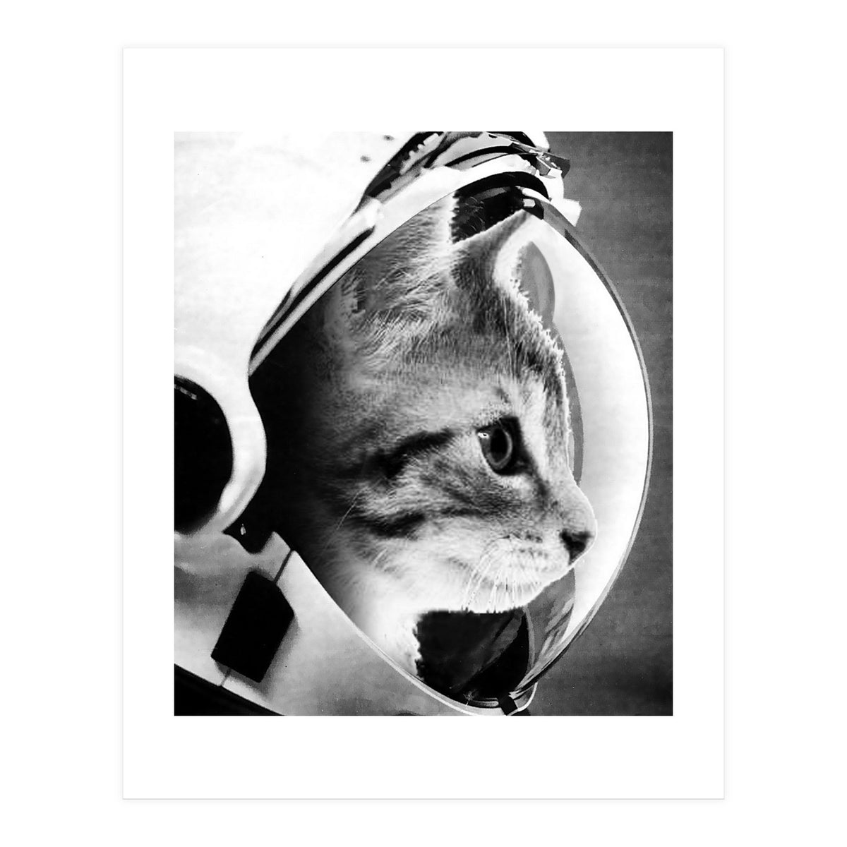 Astrocat (Print Only)