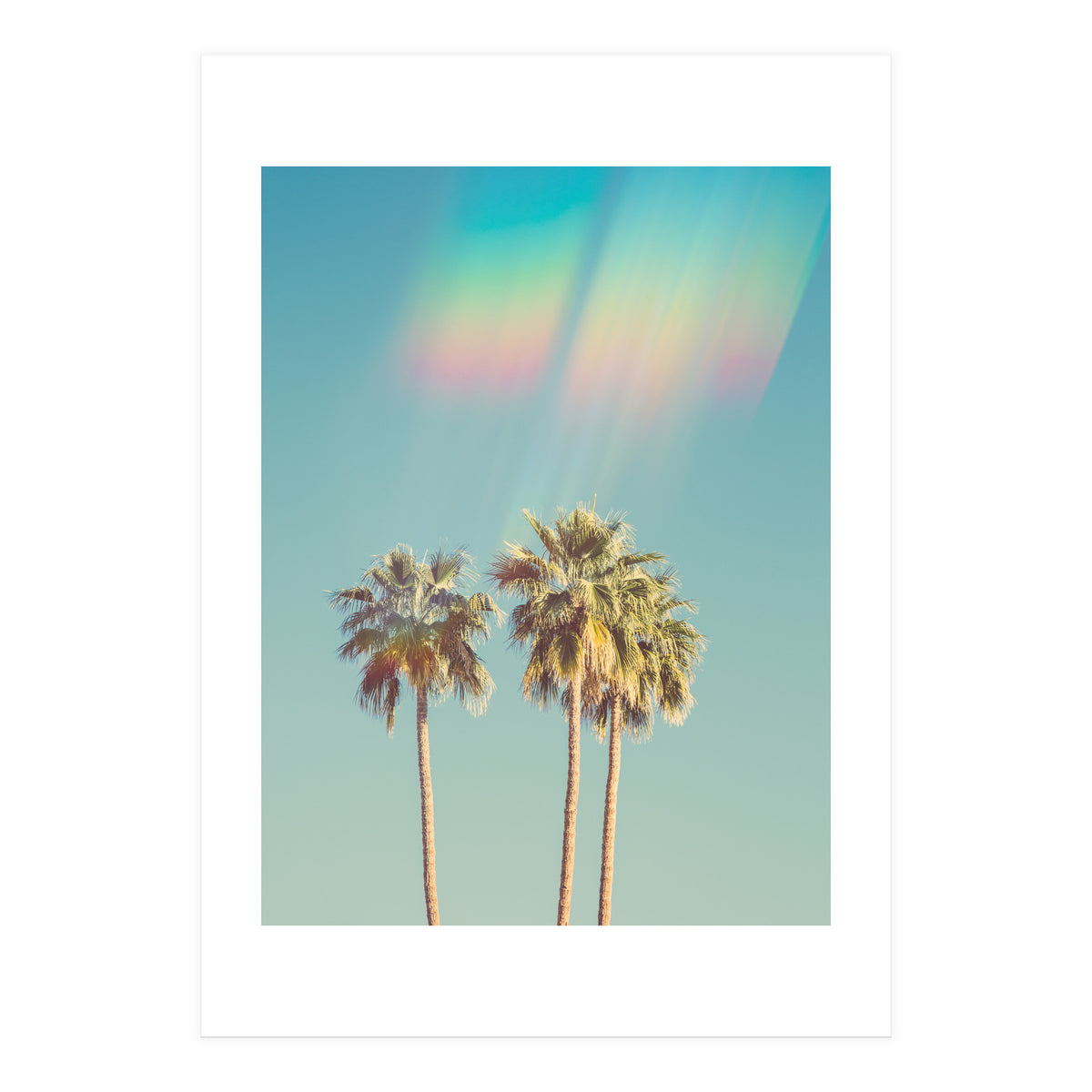 Groovy California Palm Trees (Print Only)