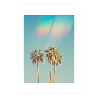 Groovy California Palm Trees (Print Only)