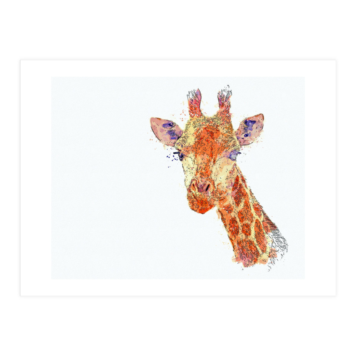 Grayson (Print Only)