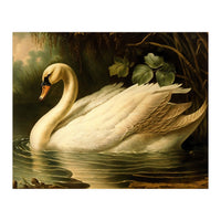 Swan Classic Painting (Print Only)