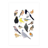 UK Birds in Glasses (Print Only) thumbnail