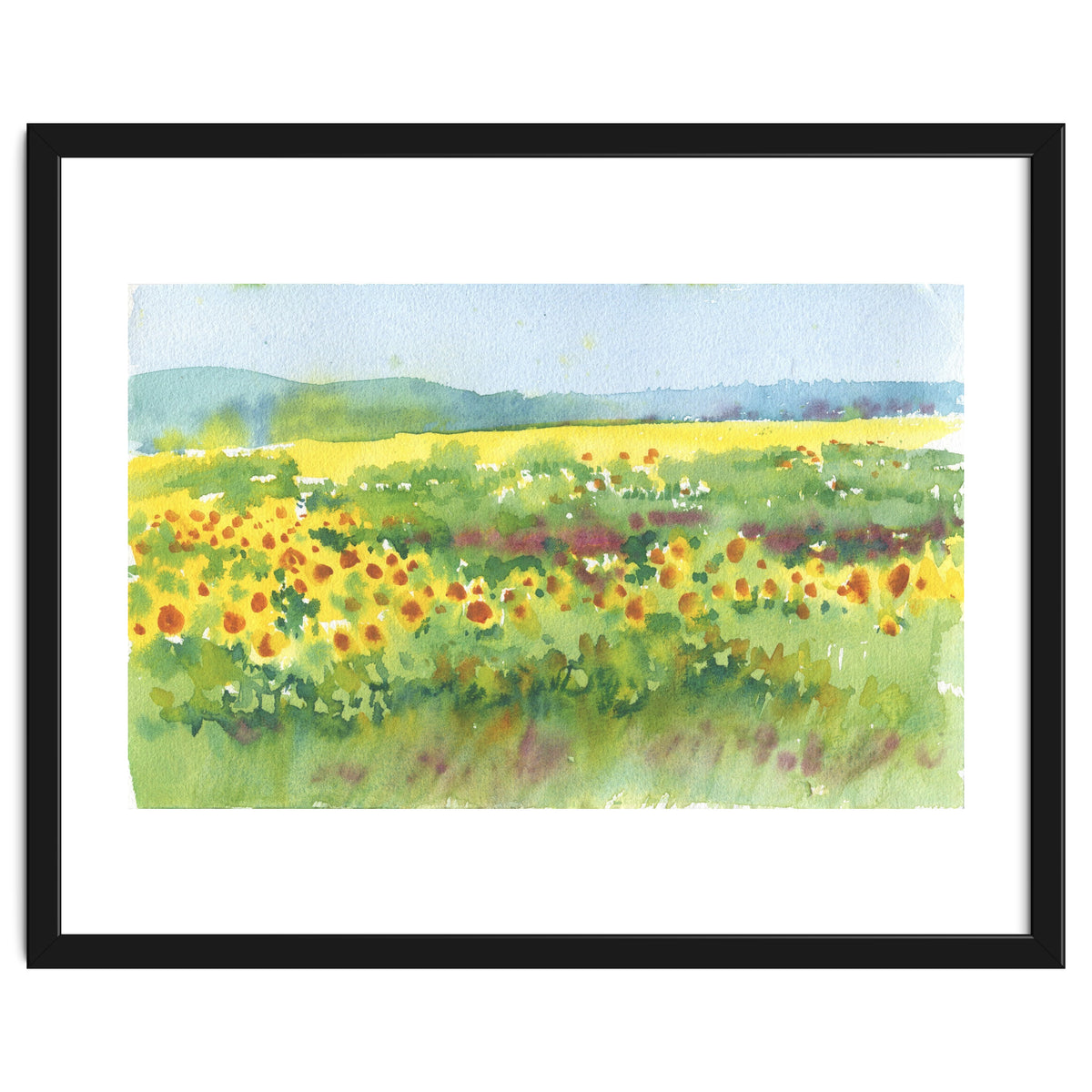Sunflowers field