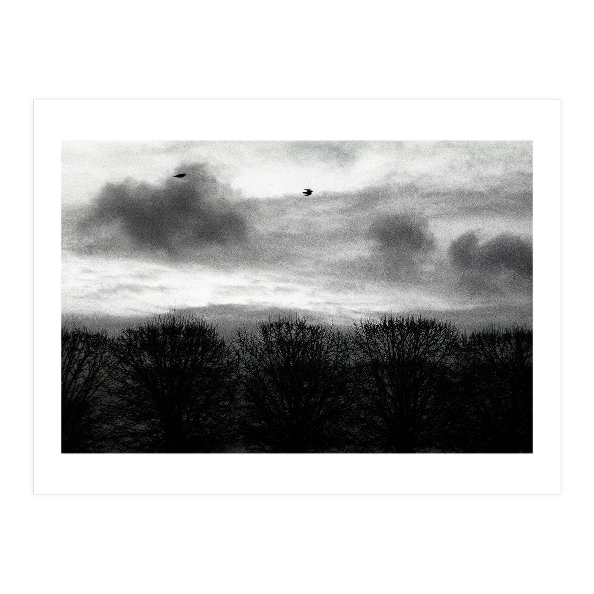 Winter mornig in Paris (Print Only)