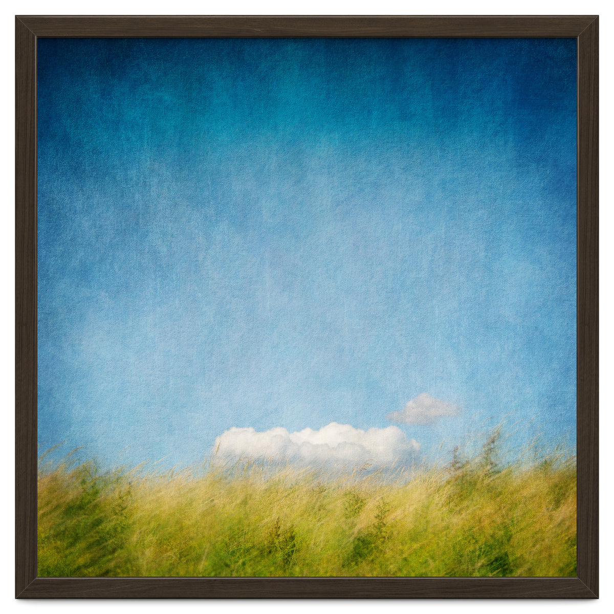 The Cloud That Fell From The Sky