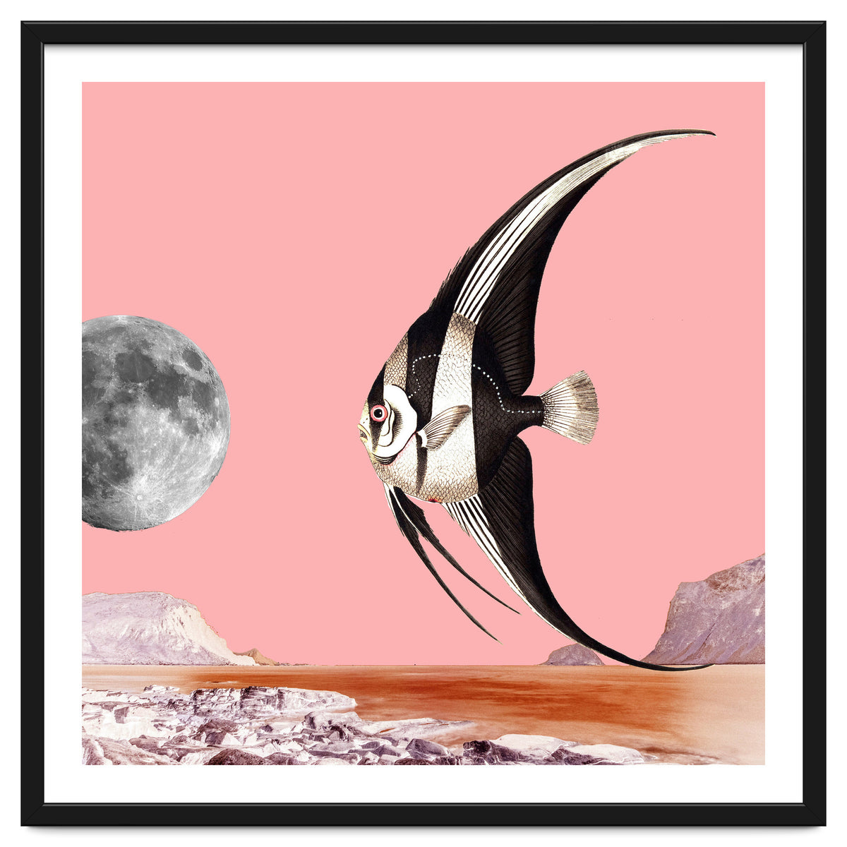 Plenty Of Fish In The Sea Pink