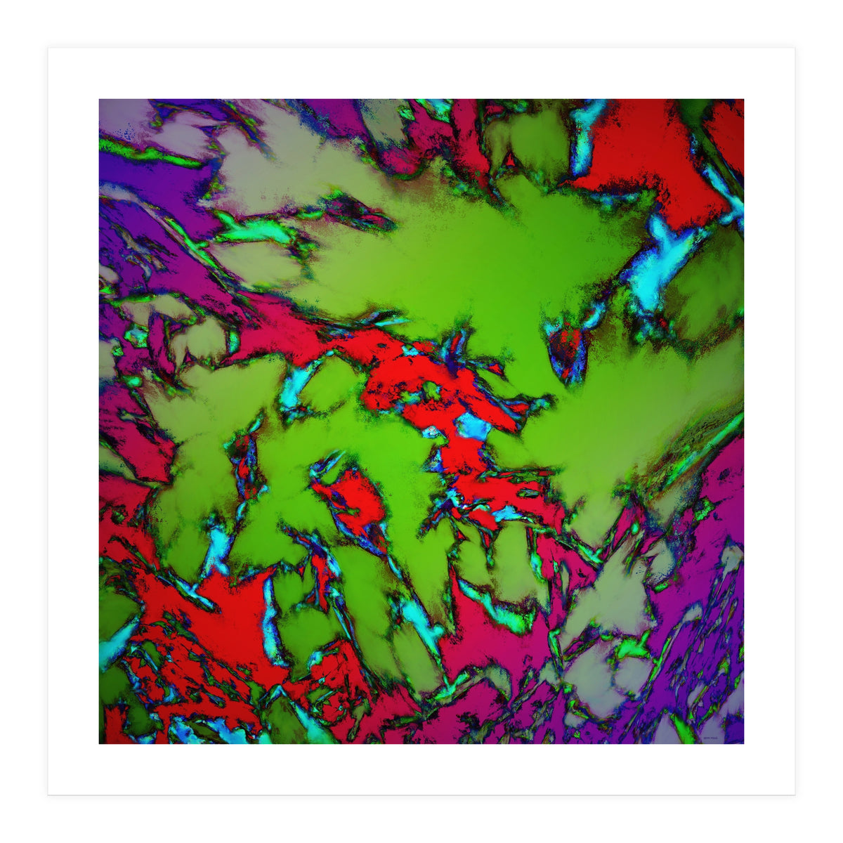 Enclosed Gardens (Print Only)