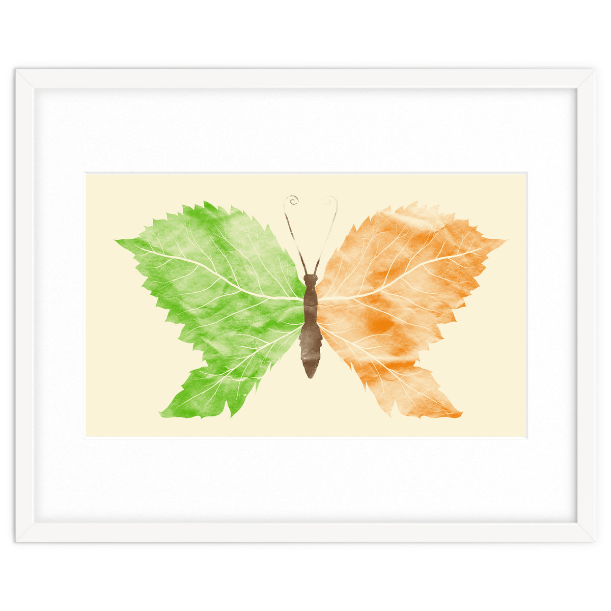 Seasons Change Time Flies