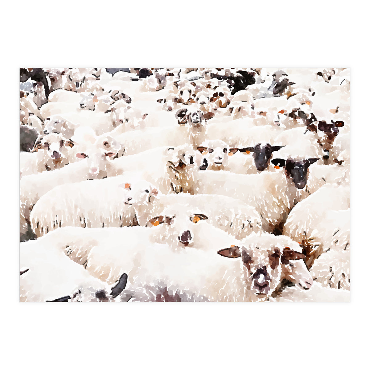 The Herd (Print Only)