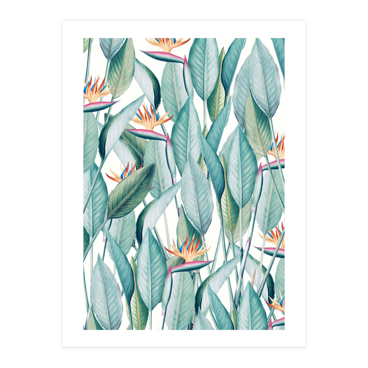 Back To Paradise Island (Print Only)