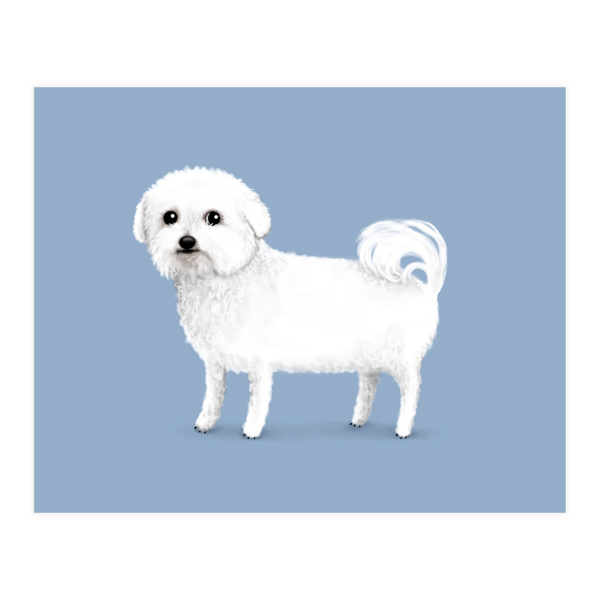 Bichon Frise (Print Only)