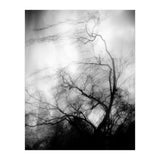 love wish (Print Only) thumbnail