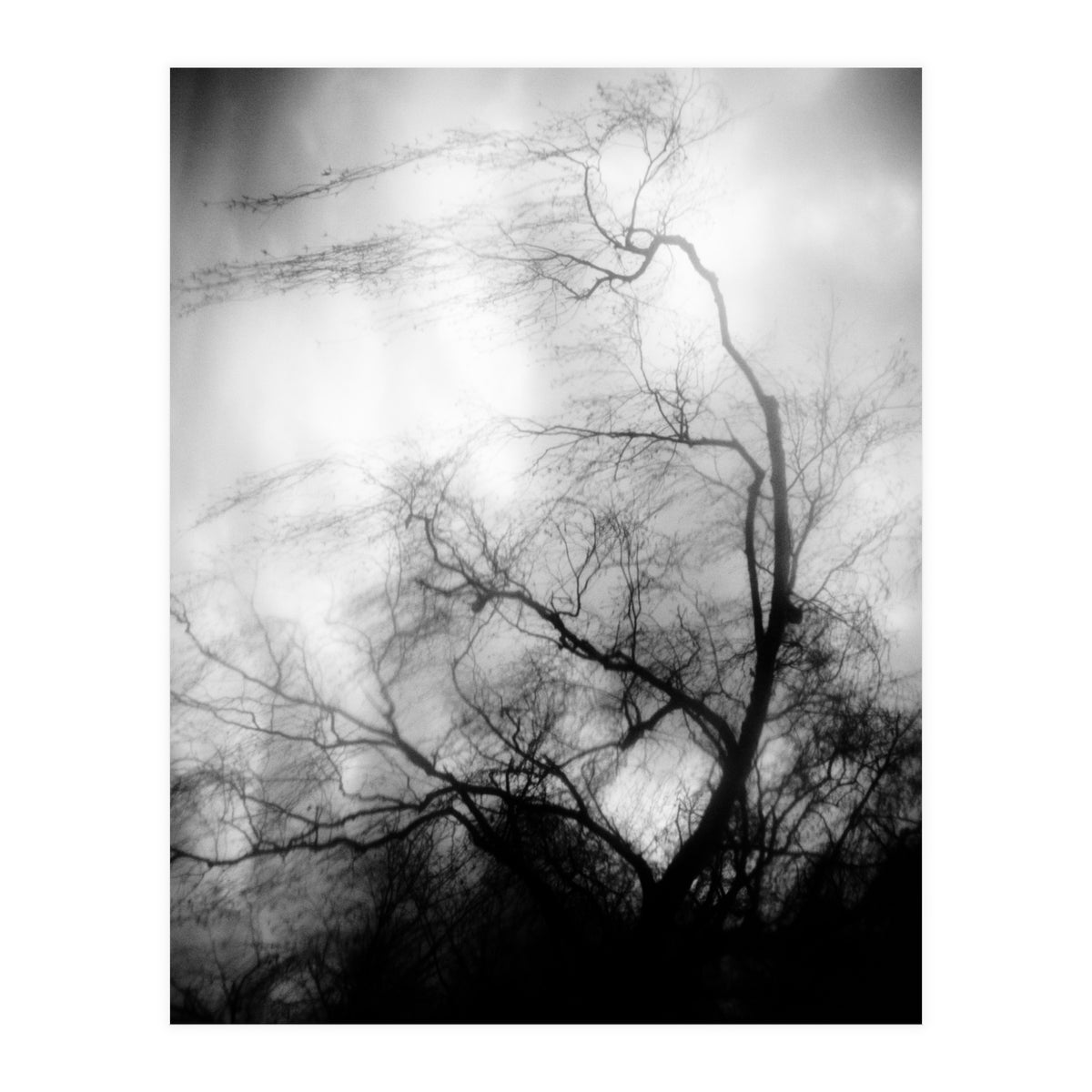 love wish (Print Only)