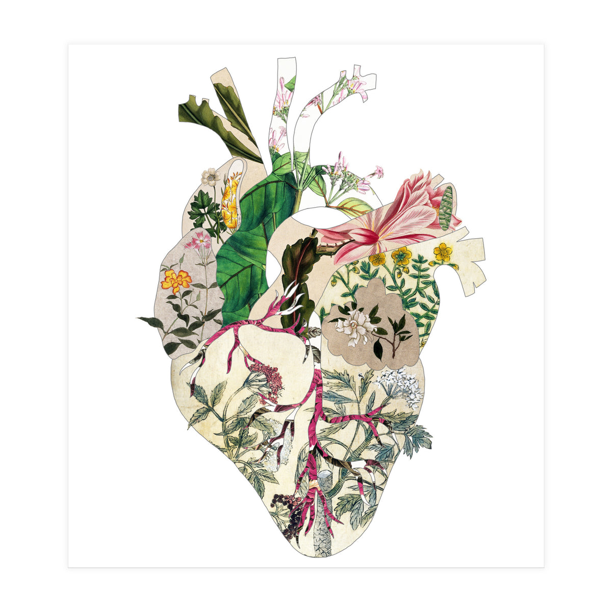 Vintage Botanical Heart (Print Only)