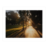 The Panhandle (Print Only) thumbnail