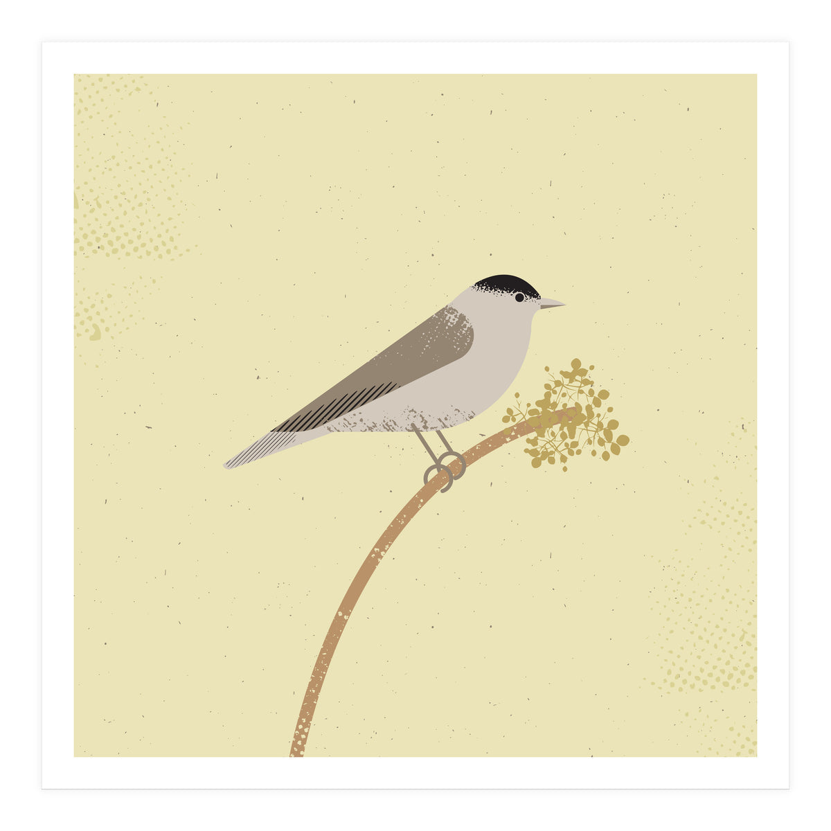 Blackcap  (Print Only)