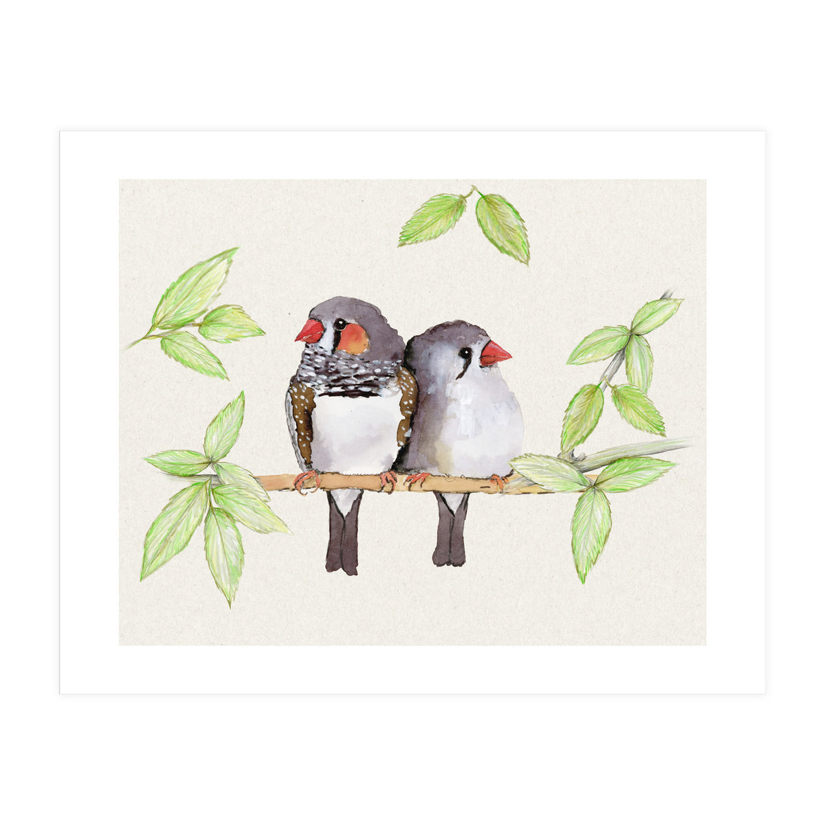 Sweet couple of zebra finches (Print Only)
