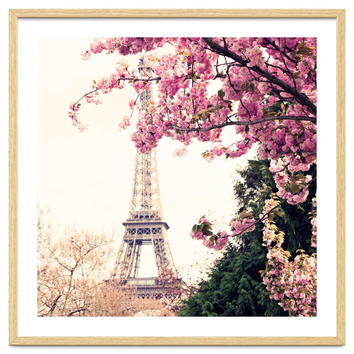 Paris in the Spring