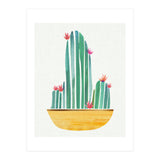 Bowl O' Cactus (Print Only) thumbnail