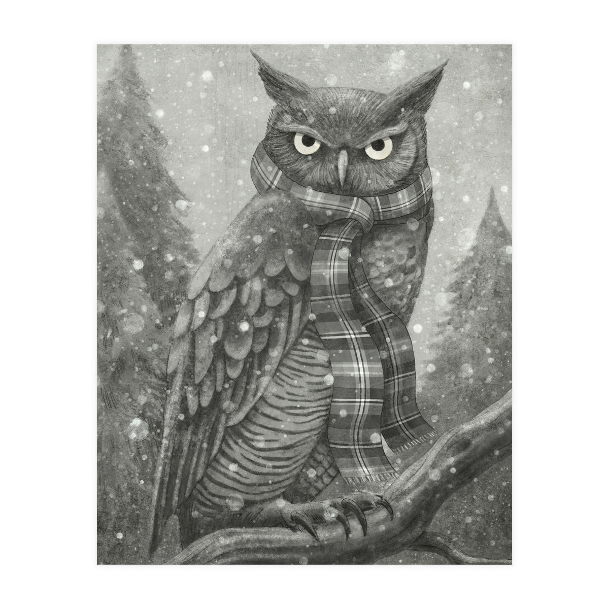 Winter Owl (Print Only)