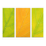 Autumn Leaves (Print Only) thumbnail