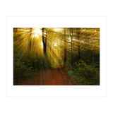 Nature (Print Only) thumbnail