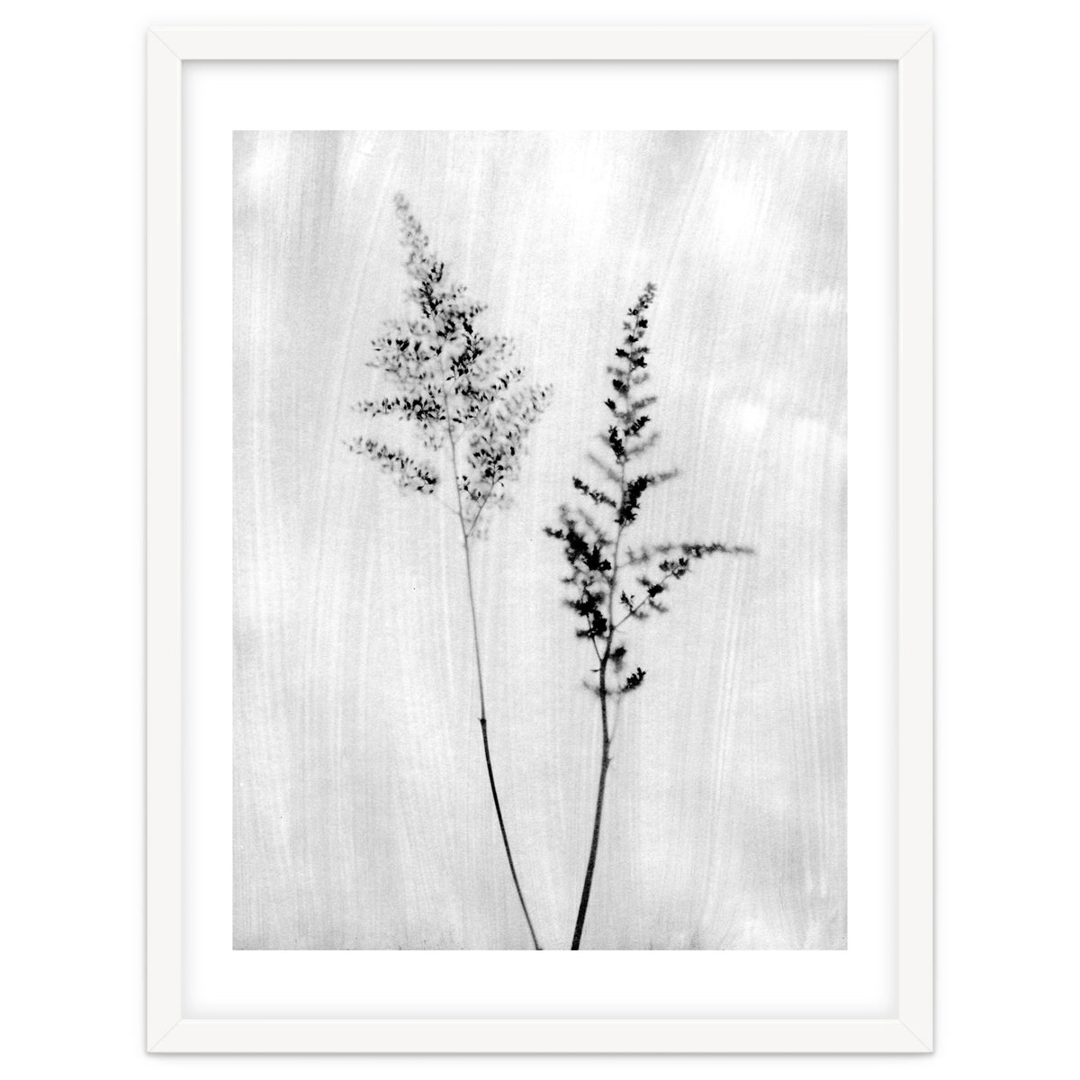 Delicate Wildflowers