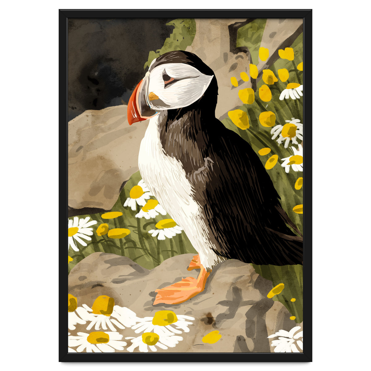 Puffin