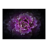 Backyard Flowers No 42 Color Version (Print Only) thumbnail