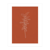 Line Art Botanical Terracotta (Print Only) thumbnail