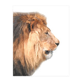 Lion Profile (Print Only) thumbnail