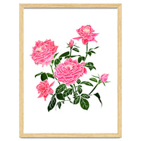 Rose V2 Art Print