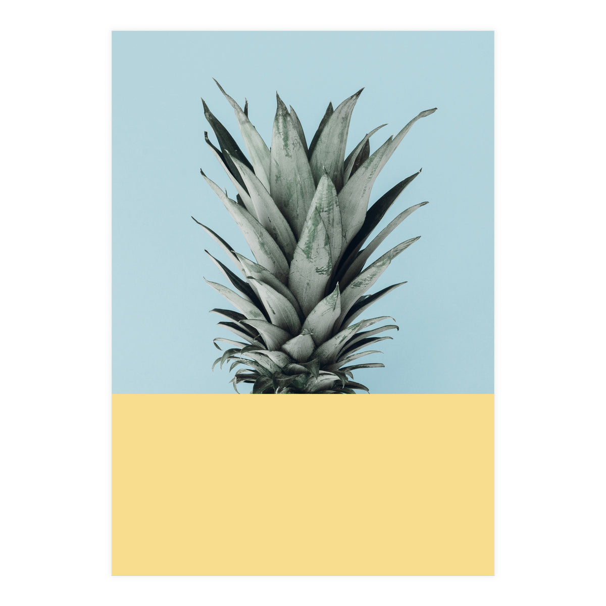Scandinavian pineapple III (Print Only)